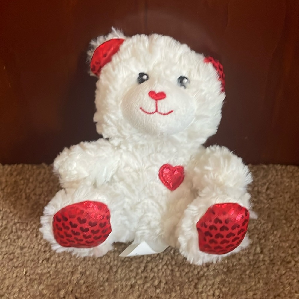 White Teddy Bear